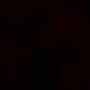 Meet your Posher, Katlyn